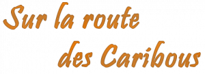 Sur la route des Caribous