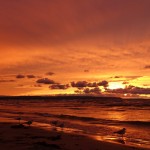 Plage de Wasaga - la plus grande plage d'eau douce au monde (14km)