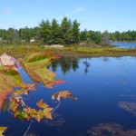 Parc des îles de la baie Georgienne - L'automne s'installe doucement