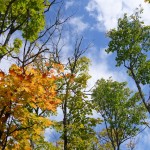 Parc de la Mauricie