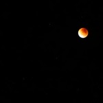 Eclipse de lune depuis la véranda. On ne dirait pas mais là l'eclipse est totale...
