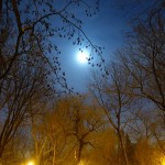 Parc Lafontaine