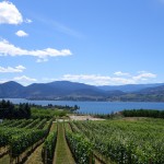 Vignes de Naramata