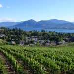 Vignes de Penticton