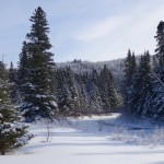 Le fleuve qui longe les cabanes
