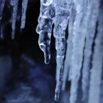 DSC02609