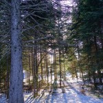 DSC02750