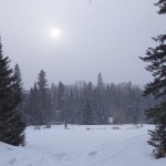 Revoilà la neige