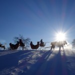 Balade en traineau