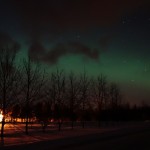 2ème tentative à Ham-Sud, pas terrible , je m'apprête à rentrer puis je lève les yeux une dernière fois....