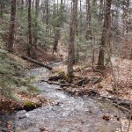 Parc de la Gatineau