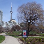 Music's garden