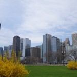 DSC07734