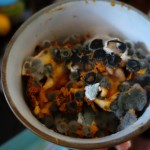 Culture de bacteries provenant du frigo des écolo-crado