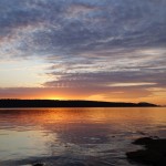 DSC08136