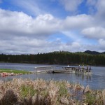 Le rendez-vous des pêcheurs du dimanche