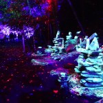 Foresta Lumina