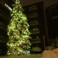 Noël à Montréal