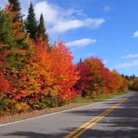 Un festival de couleurs