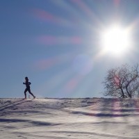 Quelques évènements sportifs
